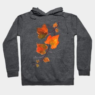 orange grapevine watercolor Hoodie